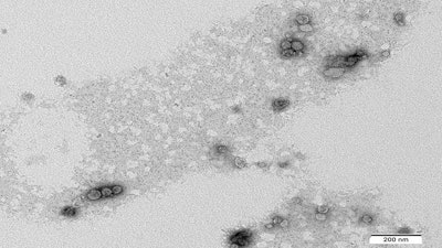 Ct2406 Dsm Advertorial Figure1