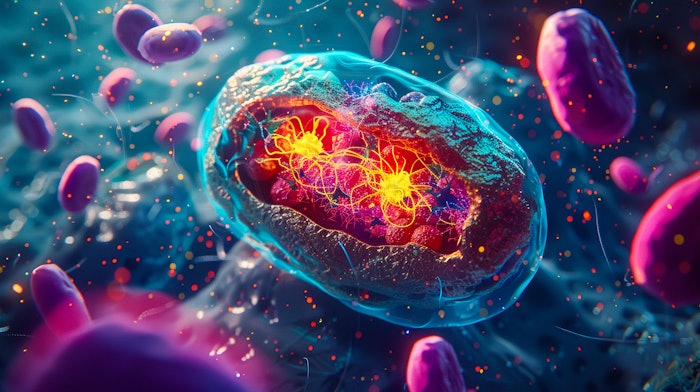 Mitochondria creating cellular energy