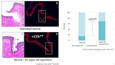 Ct2410 Meunier Figure4
