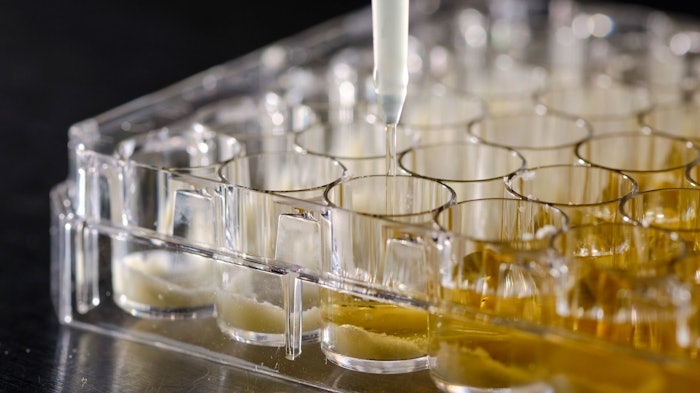 The new skin microbiome model co-cultivates eight to ten typical skin microbes under conditions allowing all strains of bacteria to proliferate and interact. In the model for acne-prone skin (shown), the culture medium additionally contains artificial skin fat and scales.