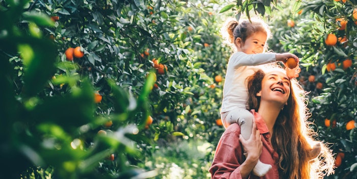 Agrumaria Reggina is also collaborating with industry experts from NATIVA, to ensure that the company's sustainability goals align with the evolving regulatory and market landscape.