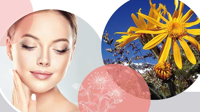 Formatted Ichimaru Image Adeplump2022april