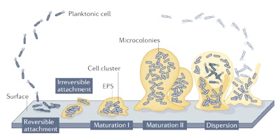 Ct2501 Dubois Figure 2