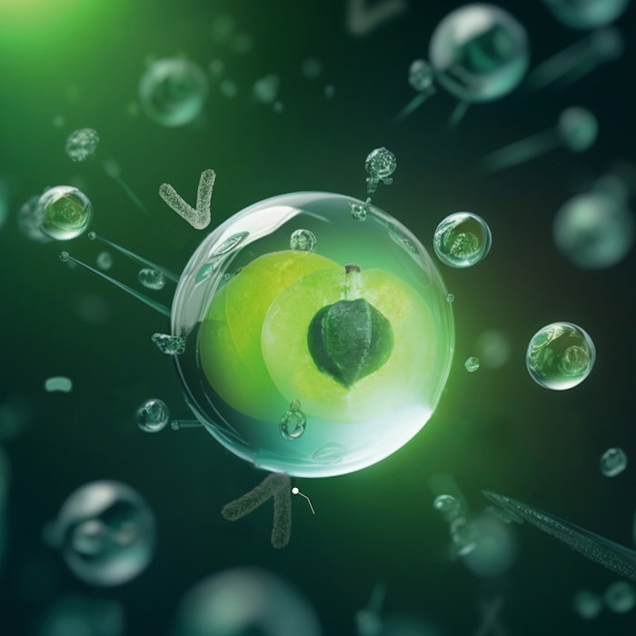 Ct2501 Pru Jaka Pe 11