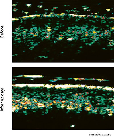 Ct2503 Montano Fig 9