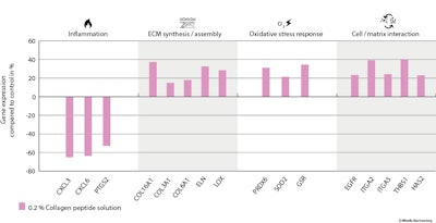 Figure 2 All Gene Pathways