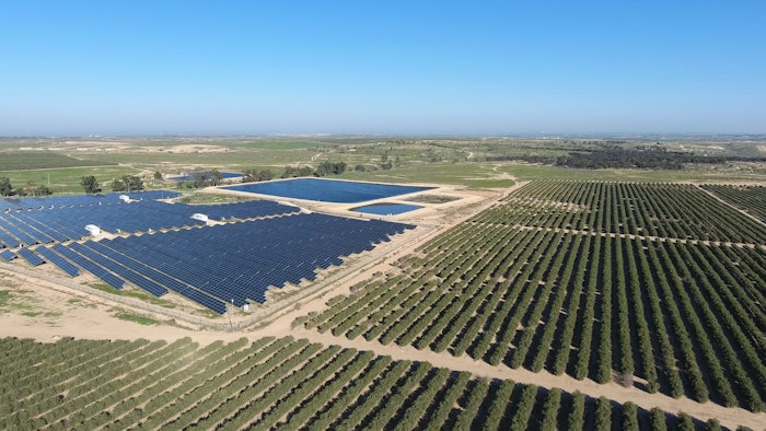 Jojoba Desert fields aerial shot