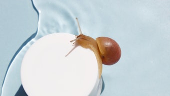 snail on skin cream jar slime background on blue