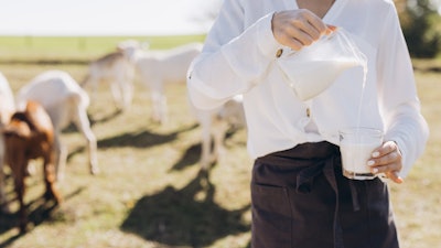 woman on farm standing with goats pouring milk