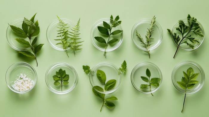 Natural skin care products swatches in petri dish and green plants on olive green background, copy space. Trendy border of beauty product sample, organic vegan plant based skin care concept