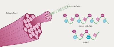 Edit Montano Figure 1 Biocompatible Designed Sequence
