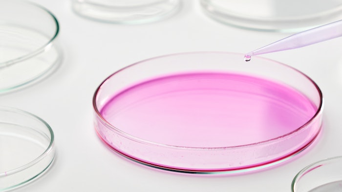 Pink Petri Dish Test In Lab Microbio Concept