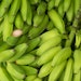 Made exclusively from upcycled green bananas, Green Banana Powder offers an innovative way to address food waste concerns.