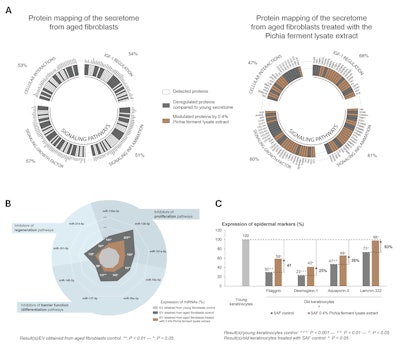 Ct2505 Silab Hallmarks Figure 2