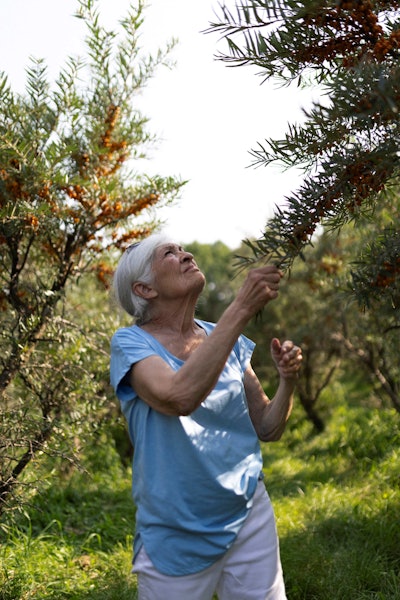 Gattefossé repurposes sea buckthorn leaves into sustainable bioactives like Noxifense, targeting skin sensitivity with antioxidant and anti-inflammatory benefits.