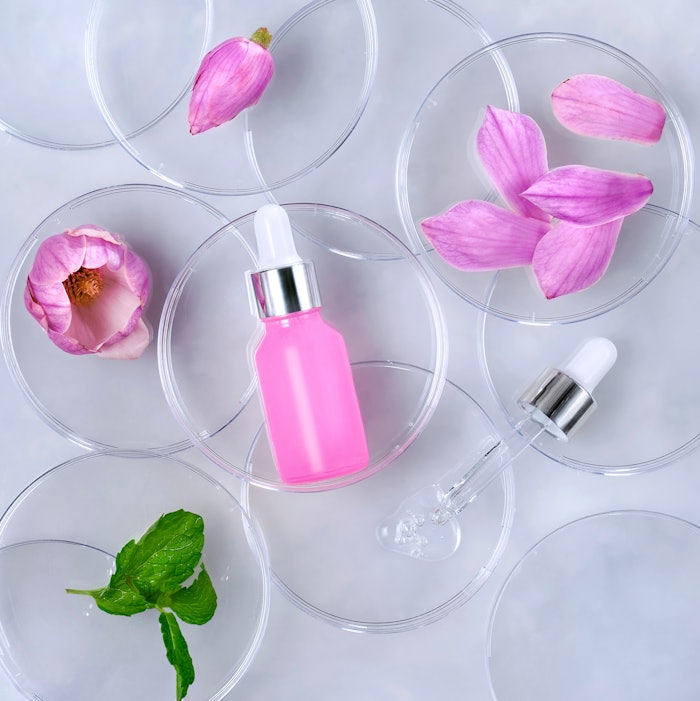 Lab Samples Pink Flower Petri Dishes Adobe Stock 421120974
