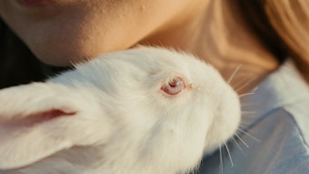 Can 3D biopringing make animal testing for cosmetics a thing of the past? New research says yes.