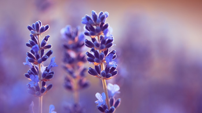 Together for Sustainability is a joint initiative of chemical companies focusesdon the promotion of sustainability practices in the chemical industry's supply chain.