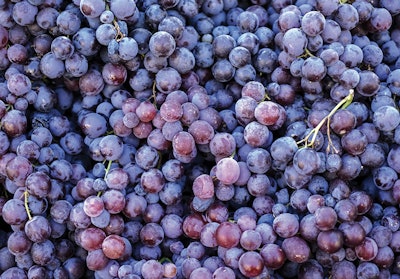 According to Roelmi Biotech, Seidotech Lux is derived using grape extracts from Italian Vitis vinifera L. that are fermented with the proprietary strain Lactobacillus plantarum PBS067.