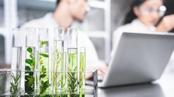 Chemists In Lab Studying Plant Samples In Test Tubes Adobe Stock 535785298