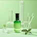 Green Tea Extract Elixir Lab Glassware Concemt Adobe Stock 682776781