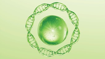 Kalichem Shutterstock 2467705641 1