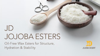 19567 Banner800x450 2 (1)