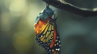 Butterfly Edit