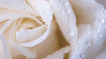 Croda Gettyimages153750872 (1)