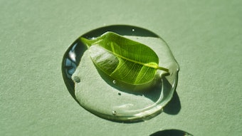Green Natural Beauty Gel Leaf Bubbles Adobe Stock 1372828467