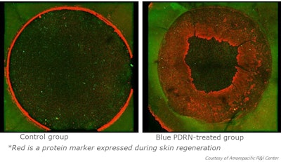Images A Reconstructed Human Epidermis Test Showing Increased Levels Protein