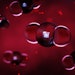 Carbon dioxide is critical for life on Earth, but excess levels in the atmosphere open the door to capture tech that can provide building blocks for new beauty ingredients.