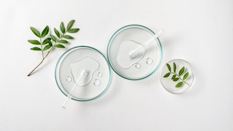 This strategic separation allows each company to concentrate exclusively on its core business areas—animal nutrition for one and performance chemicals and care ingredients for the other.