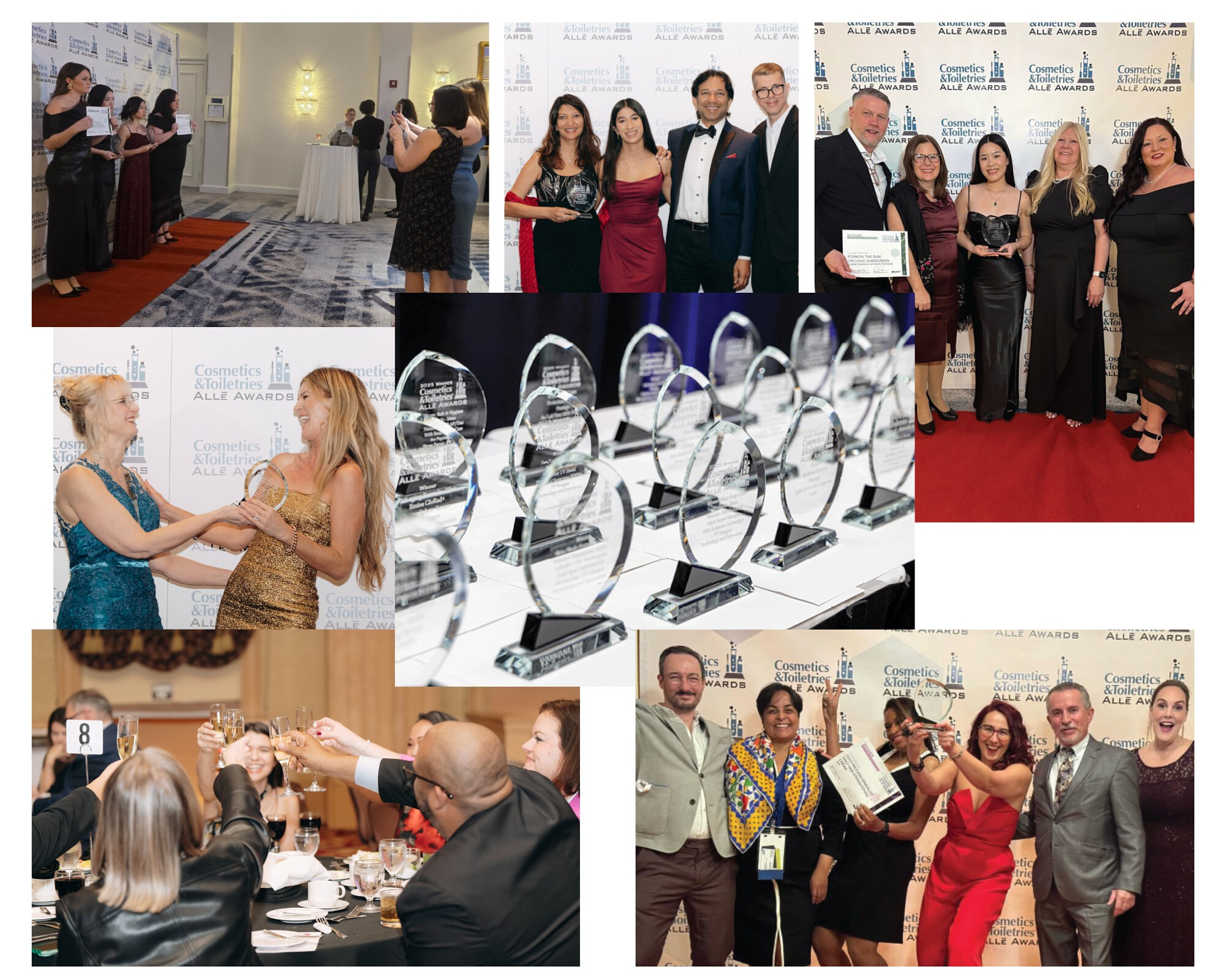 Ct Alles Award Collage2