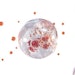 Naolys Exosomes