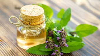 The active is derived from the self-healing Prunella vulgaris plant, a resilient botanical long used in traditional medicine by Indigenous nations.