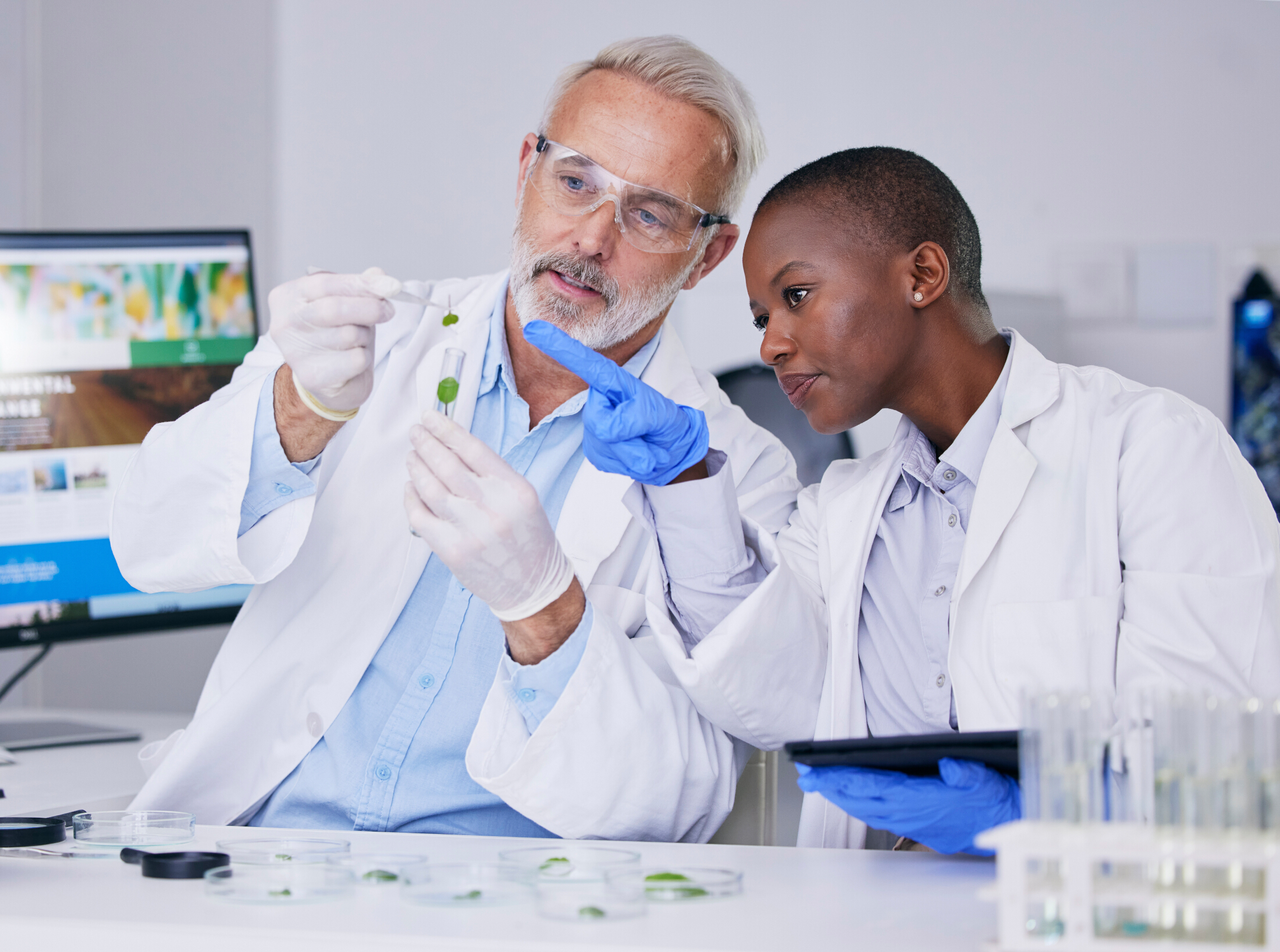 Scientists Collab Green Chemistry Lab Setting Diversity Adobe Stock 636939841