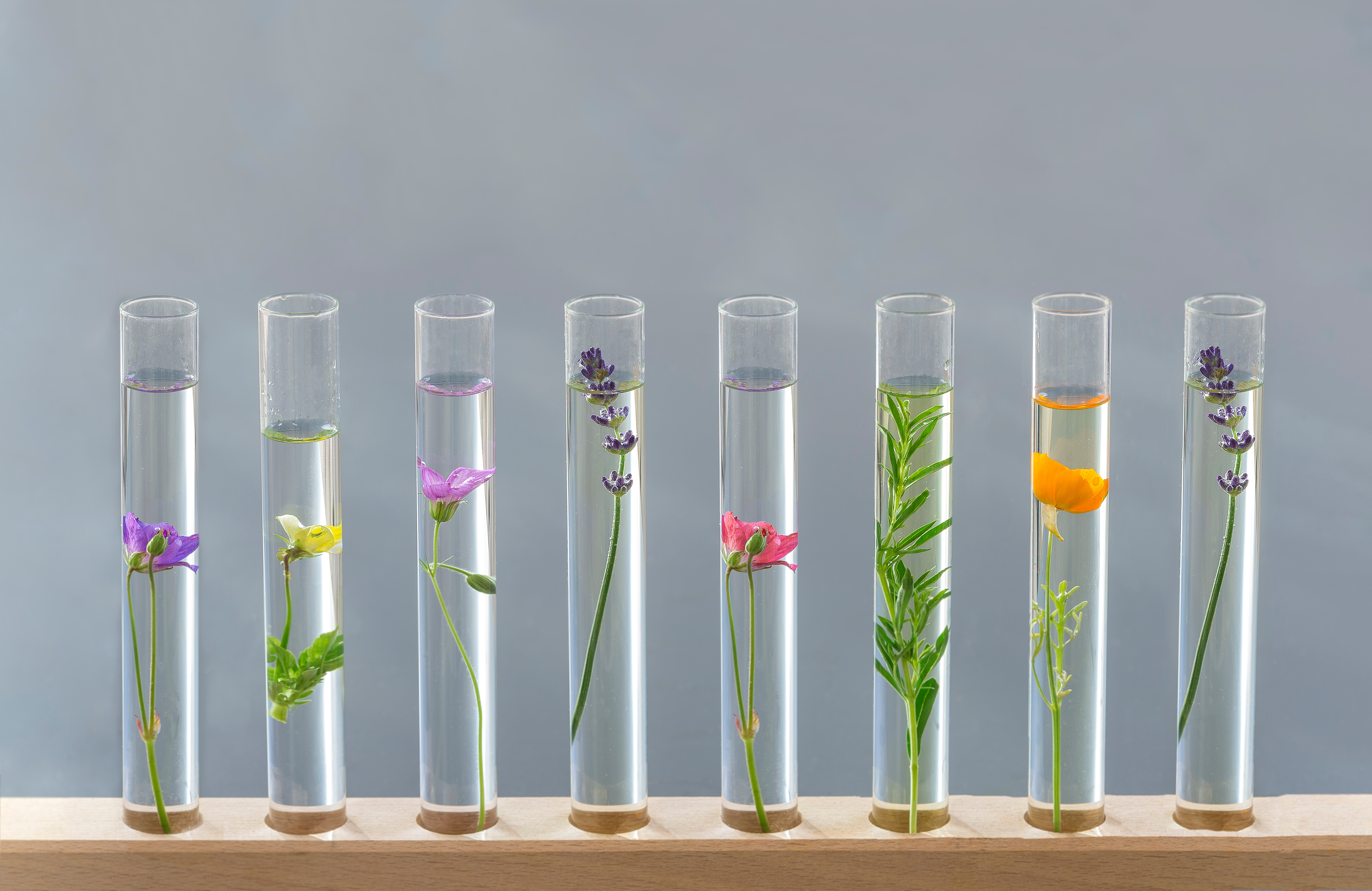 The Research Institute for Fragrance Materials (RIFM) was founded in 1966 as an independent, non-profit organization.