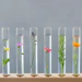 The Research Institute for Fragrance Materials (RIFM) was founded in 1966 as an independent, non-profit organization.