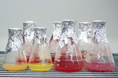 InnCoCells combined advanced plant science, biotechnology and cultivation methods with circular approaches such as the upcycling of agricultural side-streams.