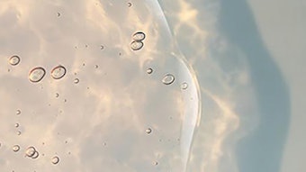 Lucas Meyer Clariant Siligel