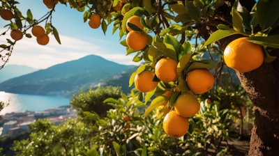 Inspired by longevity science and regenerative medicine, Exovive Lift is powered by trillions of extracellular vesicles sustainably sourced from Alpine apple, Mediterranean tangerine and Sicilian papaya.