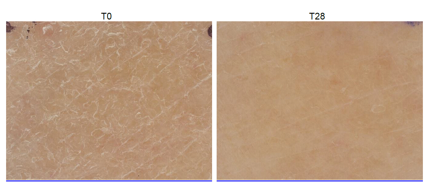 Croda Beauty Uncovers Texture, Elasticity and Comfort Benefits of ...