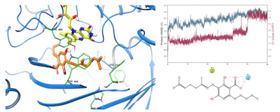 Figure 1. Illustration of in silico models to accelerate discovery
