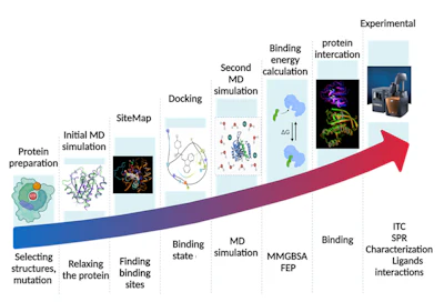 Figure 3. Integrated workflow for structure-based ingredient discovery and validation