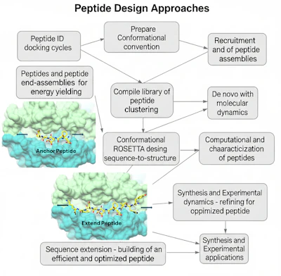 Figure 4. Peptide design approach