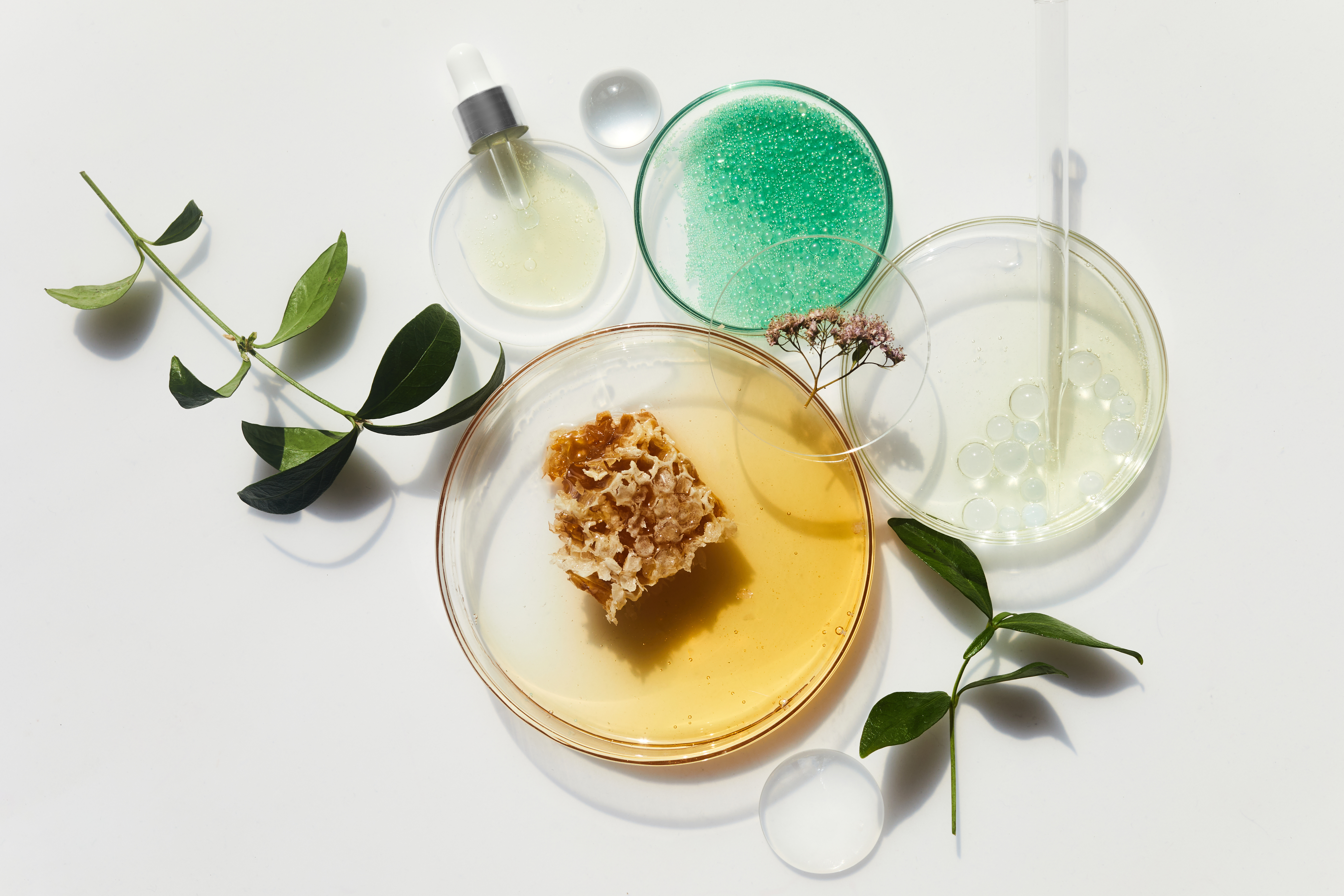 This surge of innovation comes as the bio-based cosmetics and personal care ingredients market is set to nearly double.
