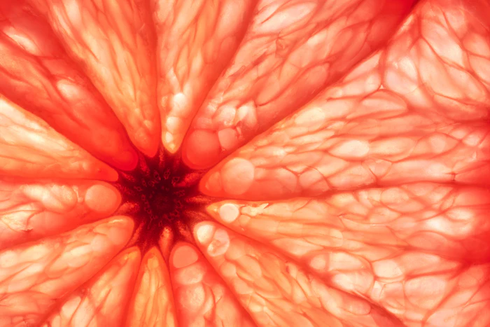 Biotechnology offers built-in stereocontrol and 'natural-identical' labeling, decoupling supply from volatile botanical harvests and climate-vulnerable regions.