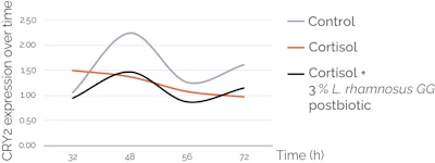 Figure 3 - Expression of CRY2 during time in kertinocytes.