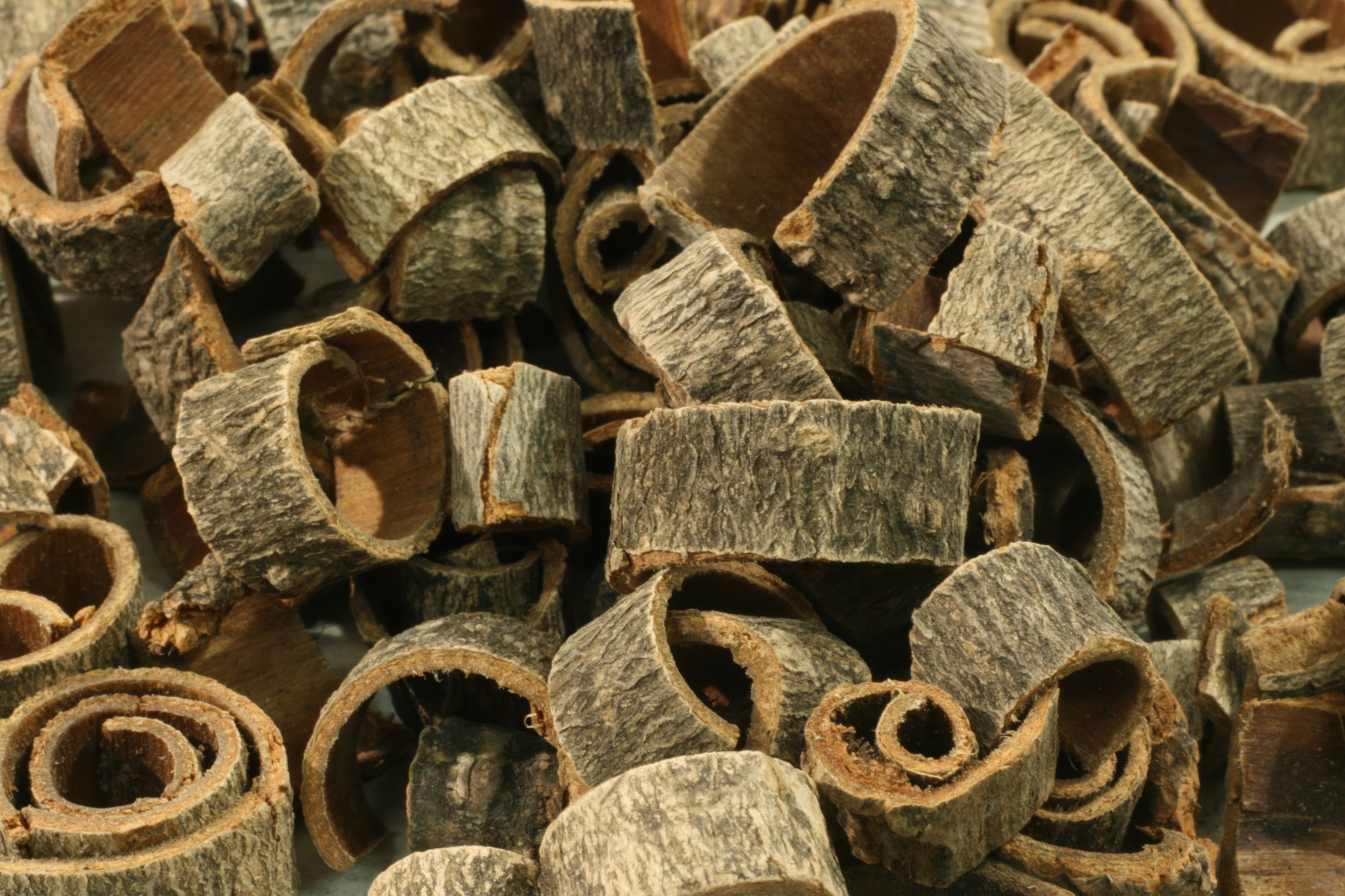 Magnolia Bark